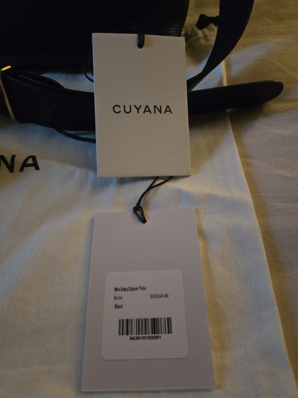 Cuyana Mini Easy Zipper Tote - Picture 10 of 10